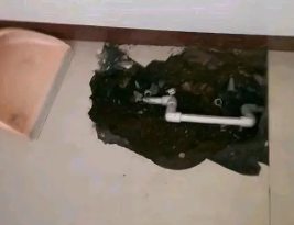 明溪卫生间测漏水多少钱