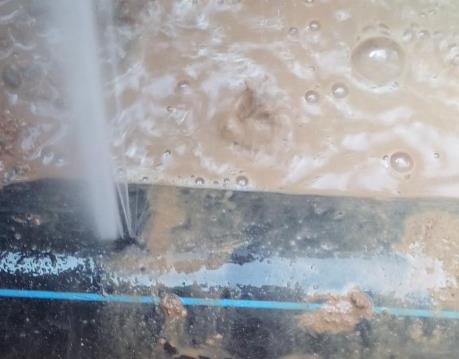 明溪卫生间防水哪家好